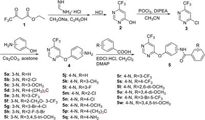 Design, Synthesis, and Bioactivities of Novel Trifluoromethyl Pyrimidine Derivatives Bearing an Amide Moiety